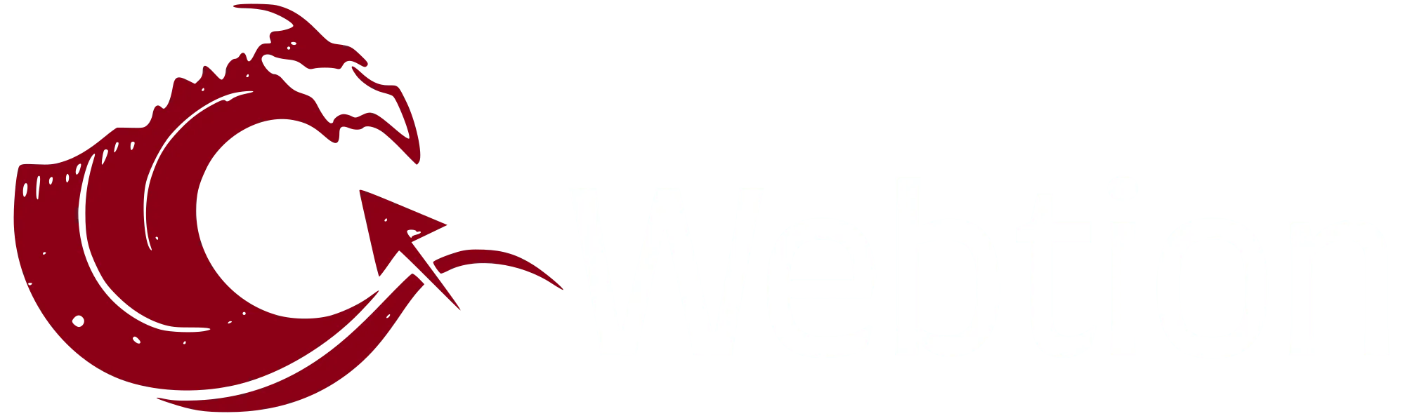 webtion solutions logo